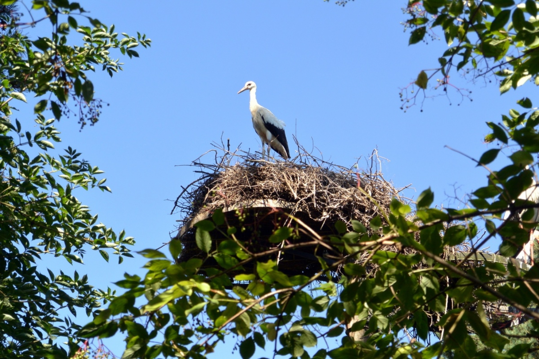 visites-et-balades